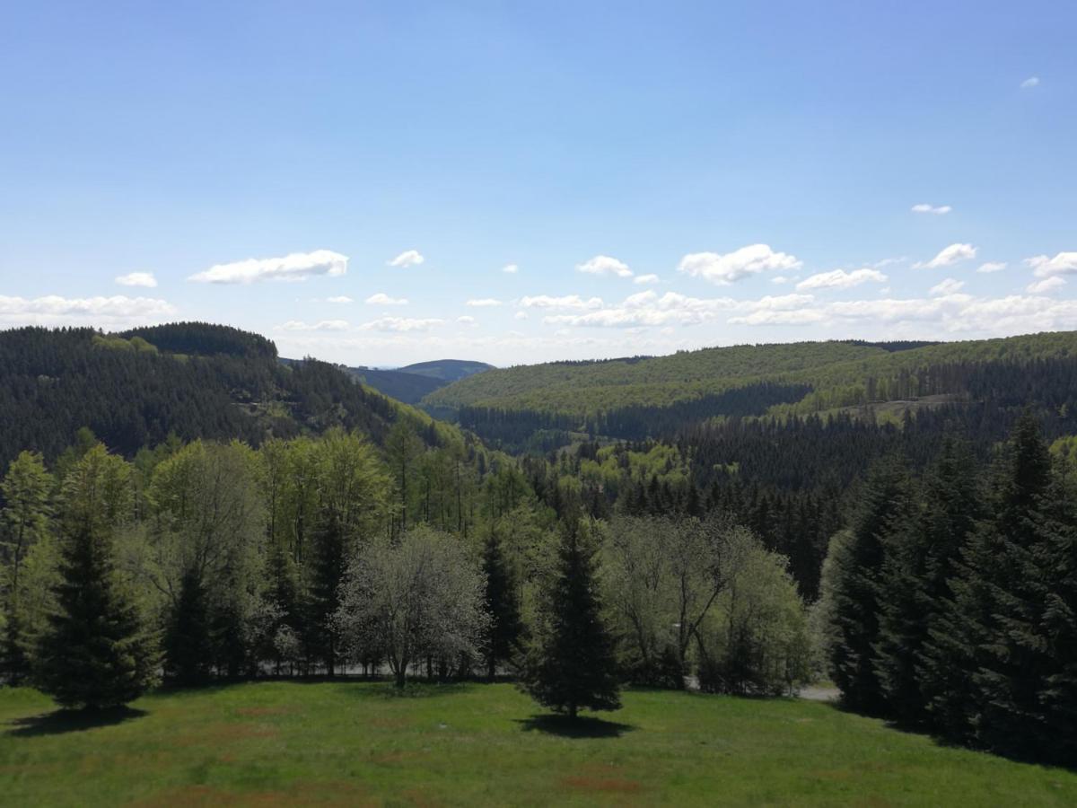 Appart-hotel Harmonie 3* Winterberg