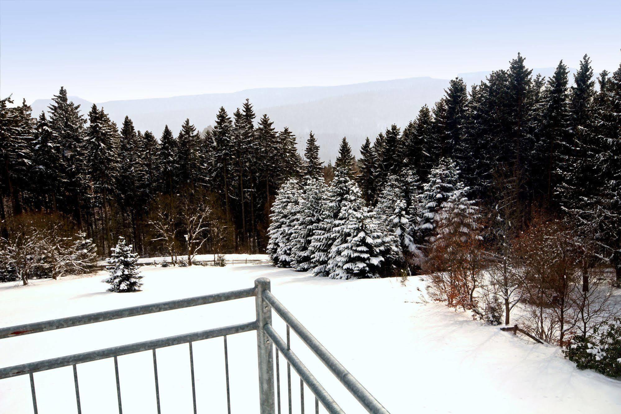 Appart-hotel Harmonie 3*
